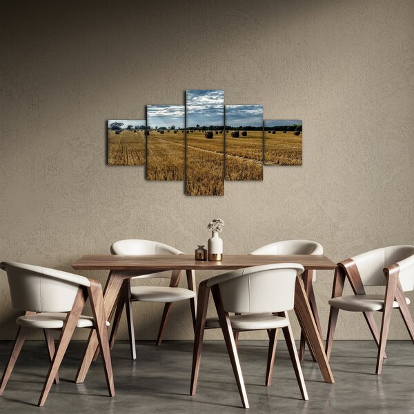 Obraz sklizeného obilného pole (125x70 cm)