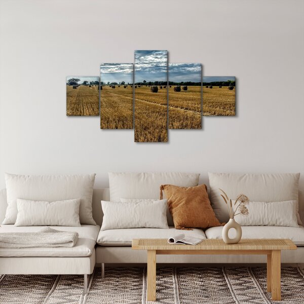 Obraz sklizeného obilného pole (125x70 cm)
