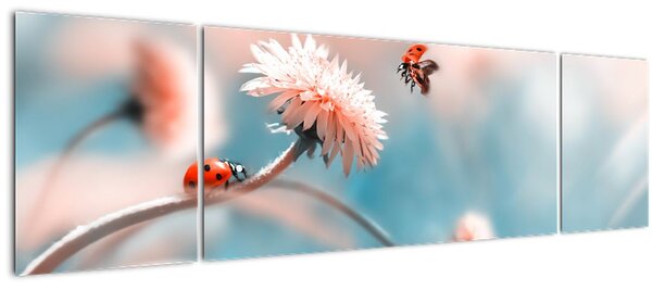 Obraz - Berušky na květu (170x50 cm)