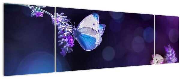 Obraz - Motýli na levanduli (170x50 cm)