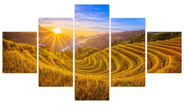 Obraz - Rýžové terasy ve Vietnamu (125x70 cm)