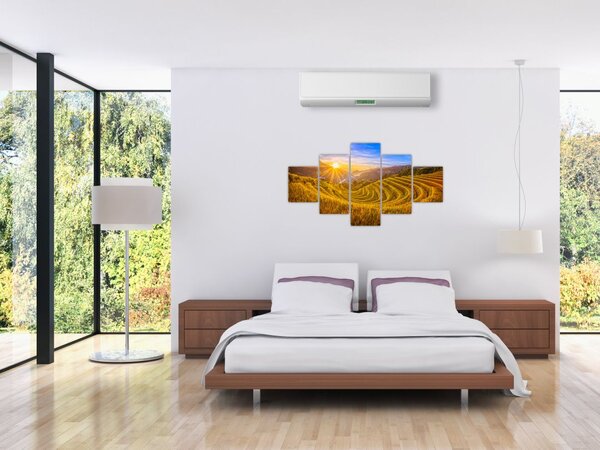 Obraz - Rýžové terasy ve Vietnamu (125x70 cm)