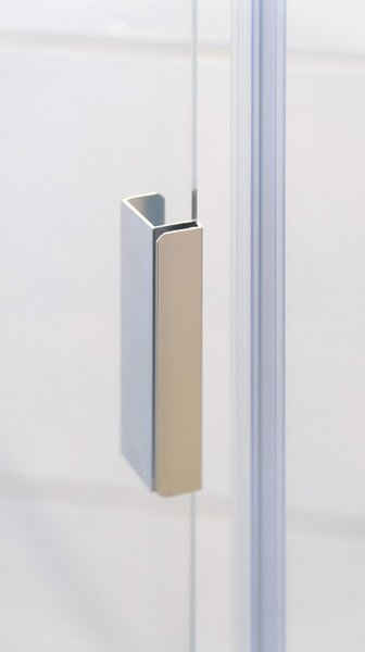 Deante Shower door handle