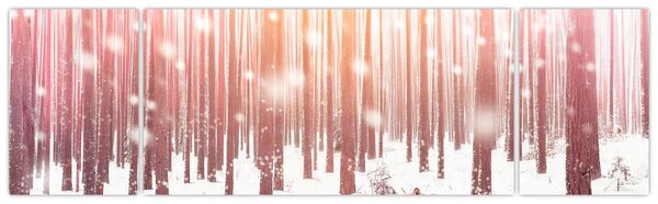 Obraz - Zebra v zasněženém lese (170x50 cm)