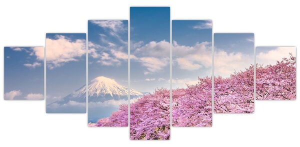 Obraz - Japonská jarní krajina (210x100 cm)