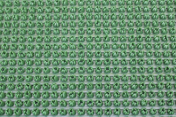 Čistící zóna (rohož) Bristlex - zelená 64