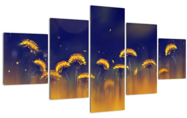 Obraz - Pampelišky (125x70 cm)