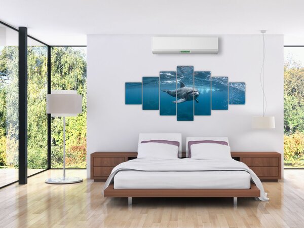 Obraz - Delfín pod hladinou (210x100 cm)