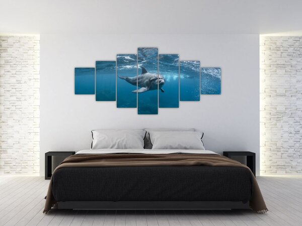 Obraz - Delfín pod hladinou (210x100 cm)