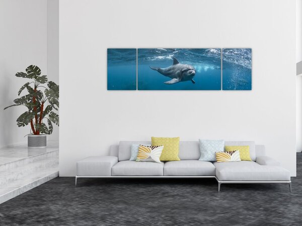 Obraz - Delfín pod hladinou (170x50 cm)