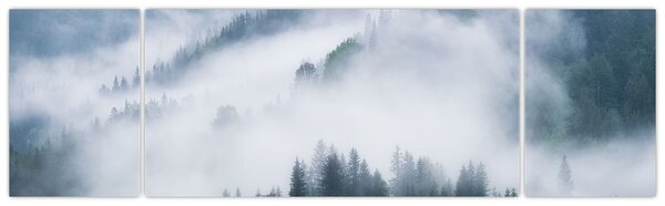 Obraz - Stromy v mlze (170x50 cm)