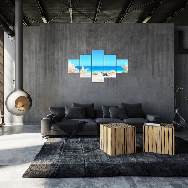 Obraz - Zátiší s mušlemi (125x70 cm)