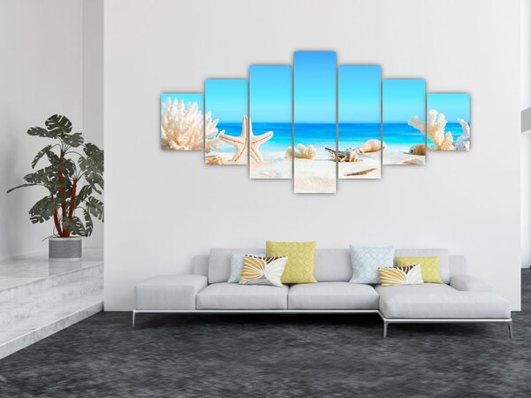 Obraz - Zátiší s mušlemi (210x100 cm)