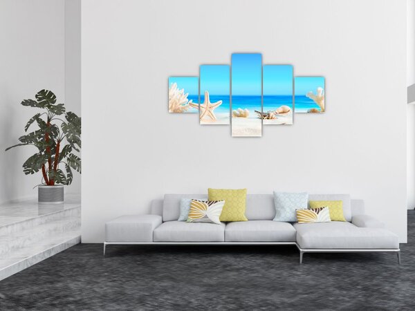 Obraz - Zátiší s mušlemi (125x70 cm)