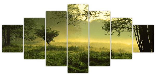 Obraz - Probouzející se les (210x100 cm)