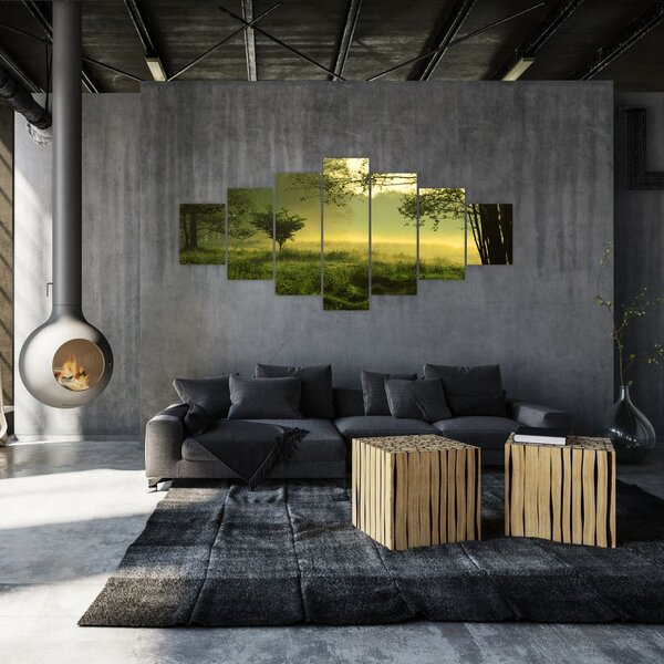 Obraz - Probouzející se les (210x100 cm)