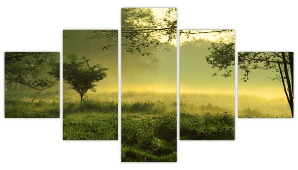 Obraz - Probouzející se les (125x70 cm)