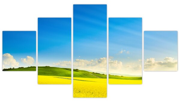 Obraz - Jarní nebe (125x70 cm)