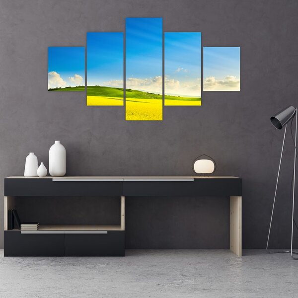 Obraz - Jarní nebe (125x70 cm)