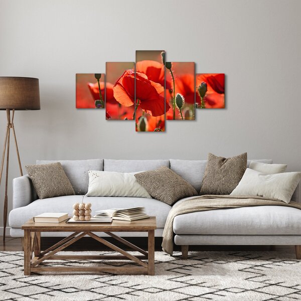 Obraz vlčích máků (125x70 cm)