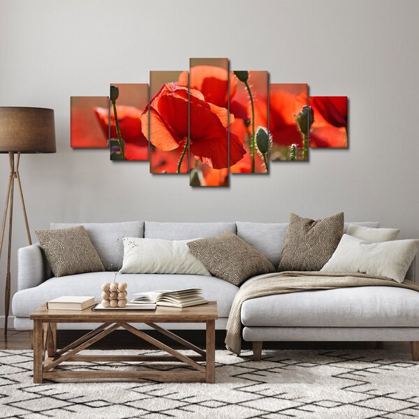 Obraz vlčích máků (210x100 cm)