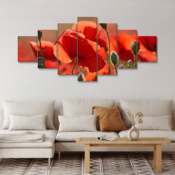Obraz vlčích máků (210x100 cm)
