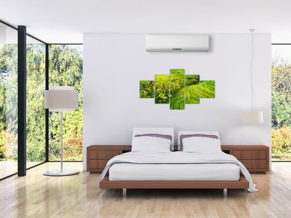 Obraz - Rýžové terasy (125x70 cm)