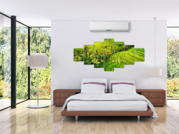 Obraz - Rýžové terasy (210x100 cm)