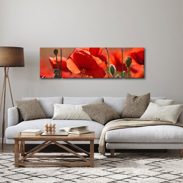 Obraz vlčích máků (170x50 cm)