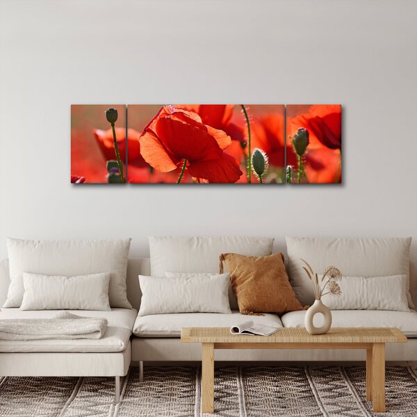 Obraz vlčích máků (170x50 cm)