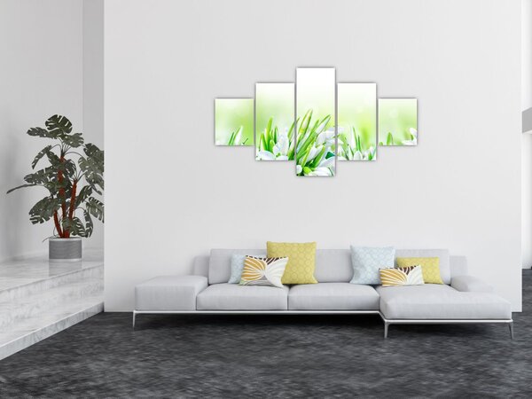 Obraz - Sněženky (125x70 cm)