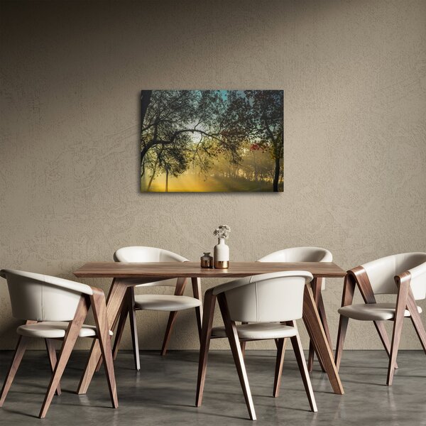 Obraz východu slunce (70x50 cm)