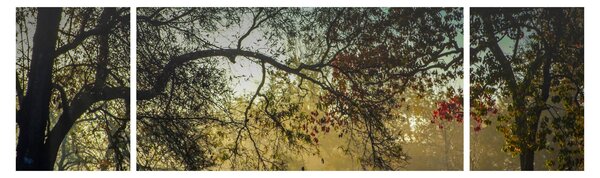 Obraz východu slunce (170x50 cm)