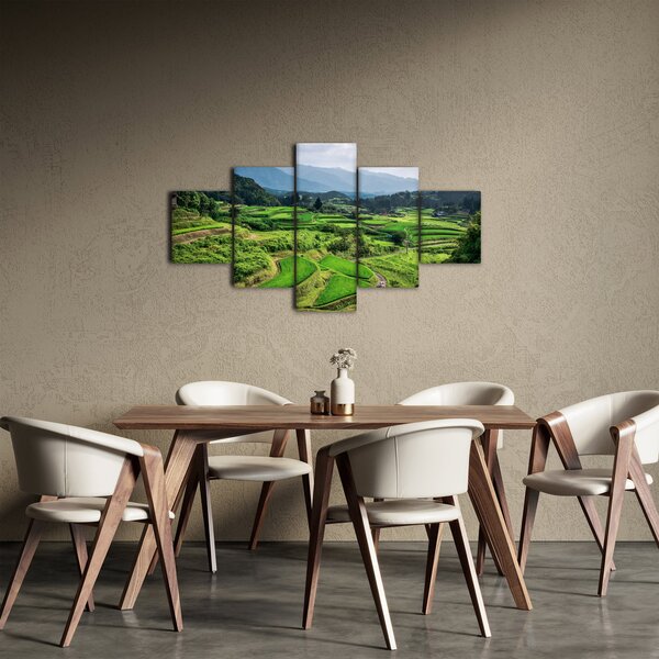 Obraz rýžových polí (125x70 cm)