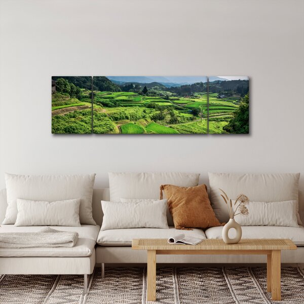 Obraz rýžových polí (170x50 cm)