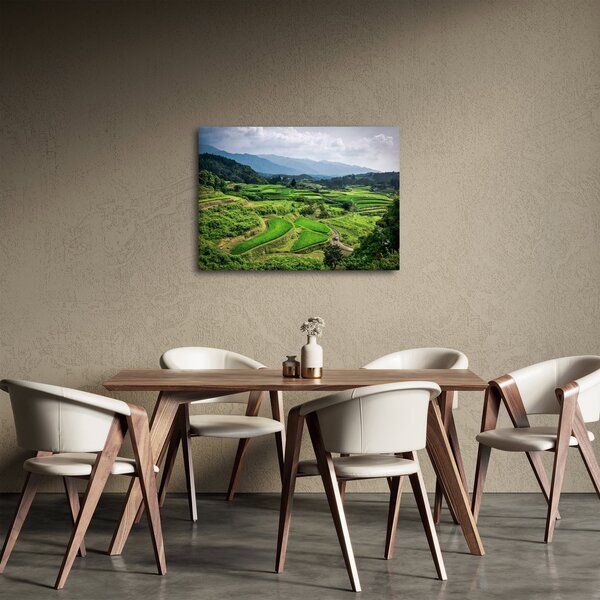 Obraz rýžových polí (70x50 cm)