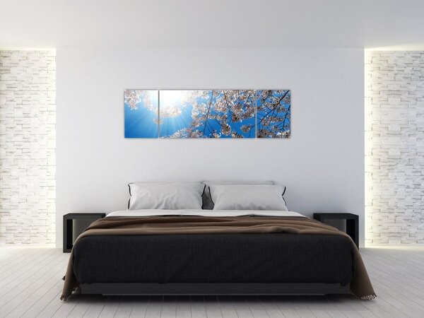 Obraz - Třešňové květy (170x50 cm)