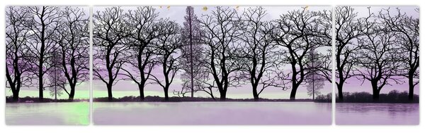 Obraz - Pramice na jezeře (170x50 cm)