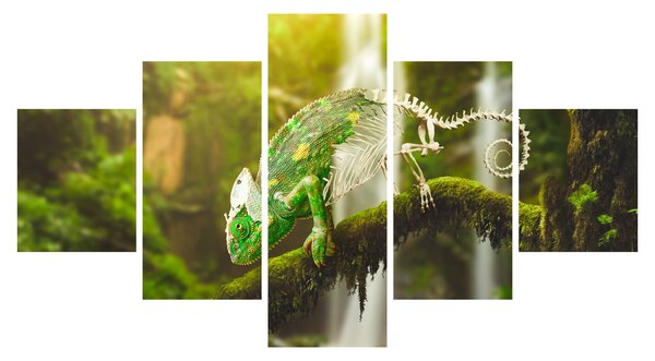 Obraz chameleona (125x70 cm)