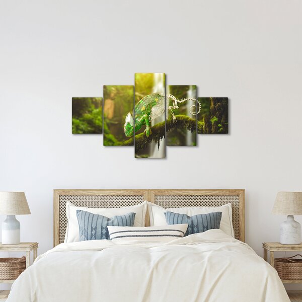 Obraz chameleona (125x70 cm)