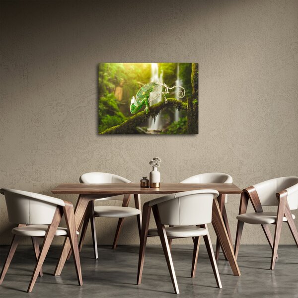 Obraz chameleona (70x50 cm)