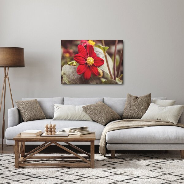 Obraz květiny (70x50 cm)