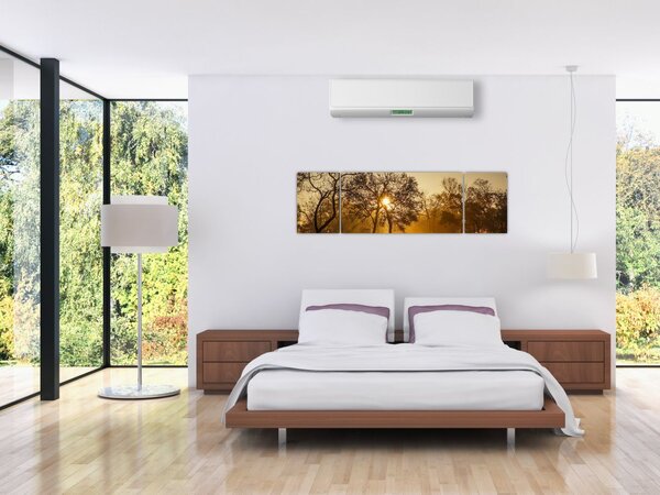 Obraz - Východ slunce (170x50 cm)
