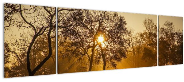Obraz - Východ slunce (170x50 cm)