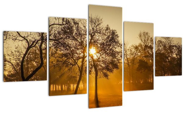 Obraz - Východ slunce (125x70 cm)