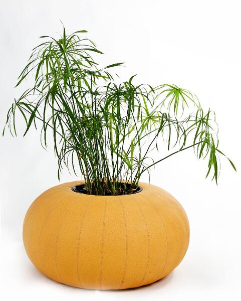 Kulatý květináč do interiéru PUMPKIN, šířka 75 cm, žlutá, outlet
