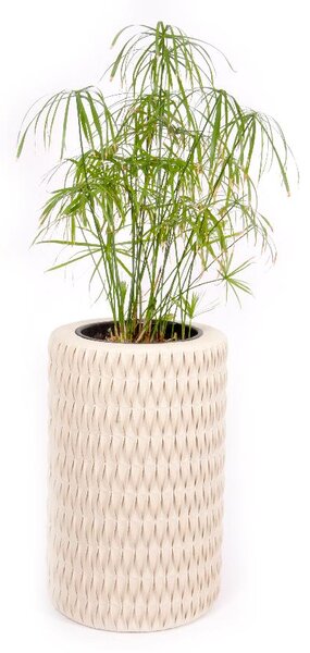 Moderní květináč BOTTEGA, výška 70 cm, krémová, outlet