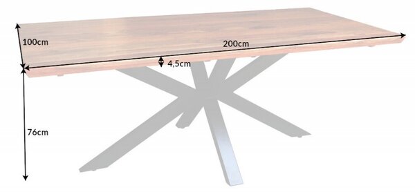 Masivní jídelní stůl Cosmos ze dřeva sheesham hnědé barvy s černýma nohama z kovu 200cm