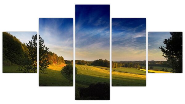Obraz - Horská louka (125x70 cm)