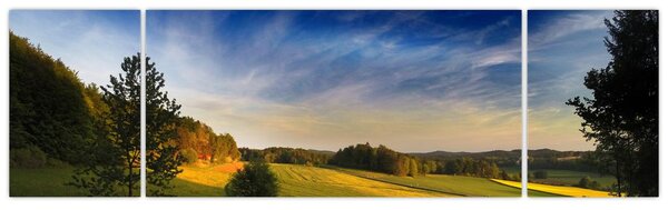 Obraz - Horská louka (170x50 cm)